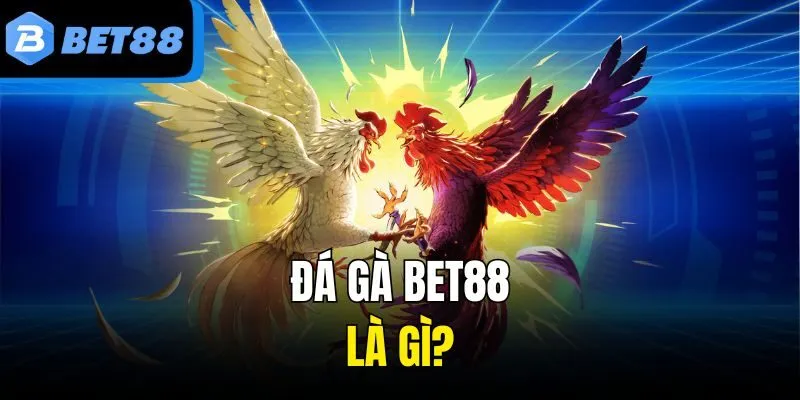 Đá gà Bet88 là gì?